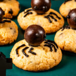 Mini  Galleta Arañita